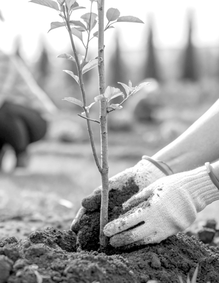 Corporate Social Responsibility